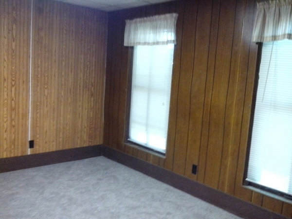 New Carpet and 2 nice sized windows