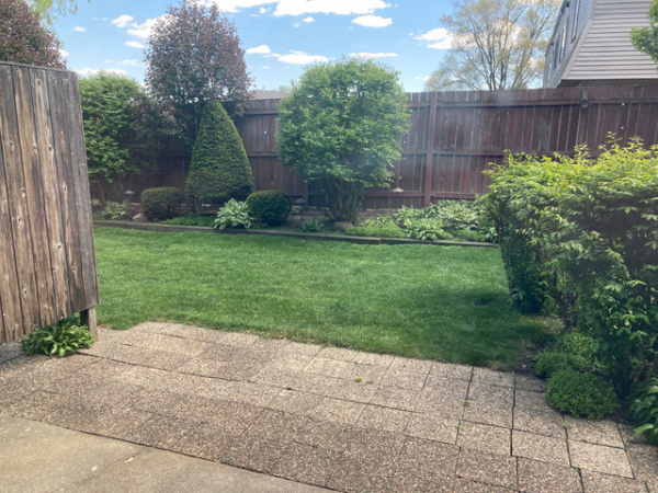 Yard